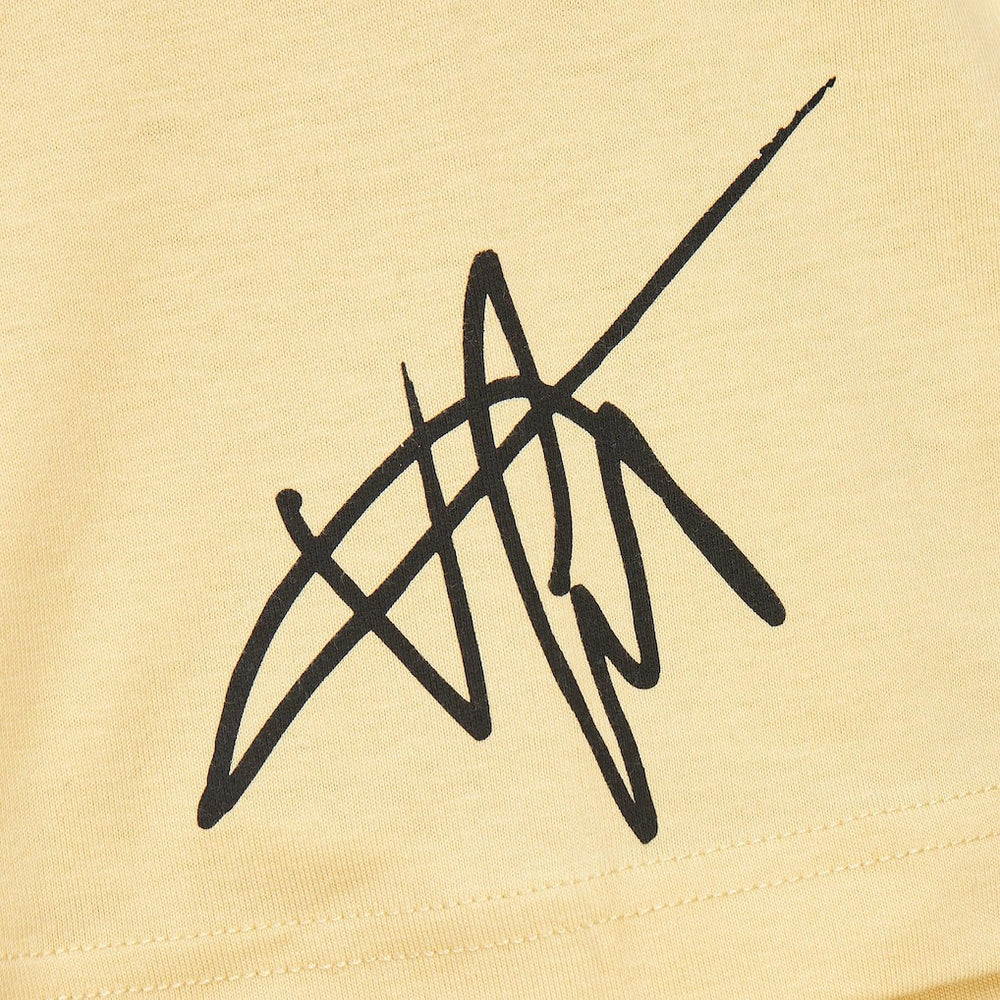 Vince Carter Toronto Raptors Premium T-Shirt Cream - Mitchell & Ness outlet