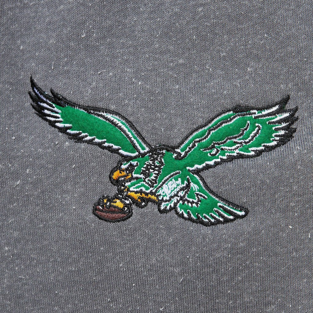 Philadelphia Eagles Vintage Logo Snow Washed Fleece Pullover Hoodie - Heather Gray Hoodies