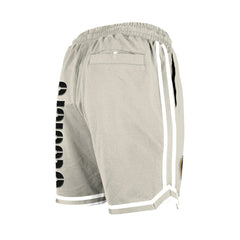 Pittsburgh Steelers New Era Stone Multi Patch Shorts - Light Beige Shorts