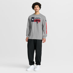 Houston Texans Hometown Sweep Legacy Long Sleeve T-Shirt - Heather Gray T-shirts