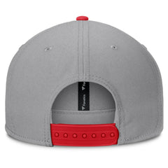 St. Louis Cardinals Fanatics Punchout Snapback Hat - Gray Hats