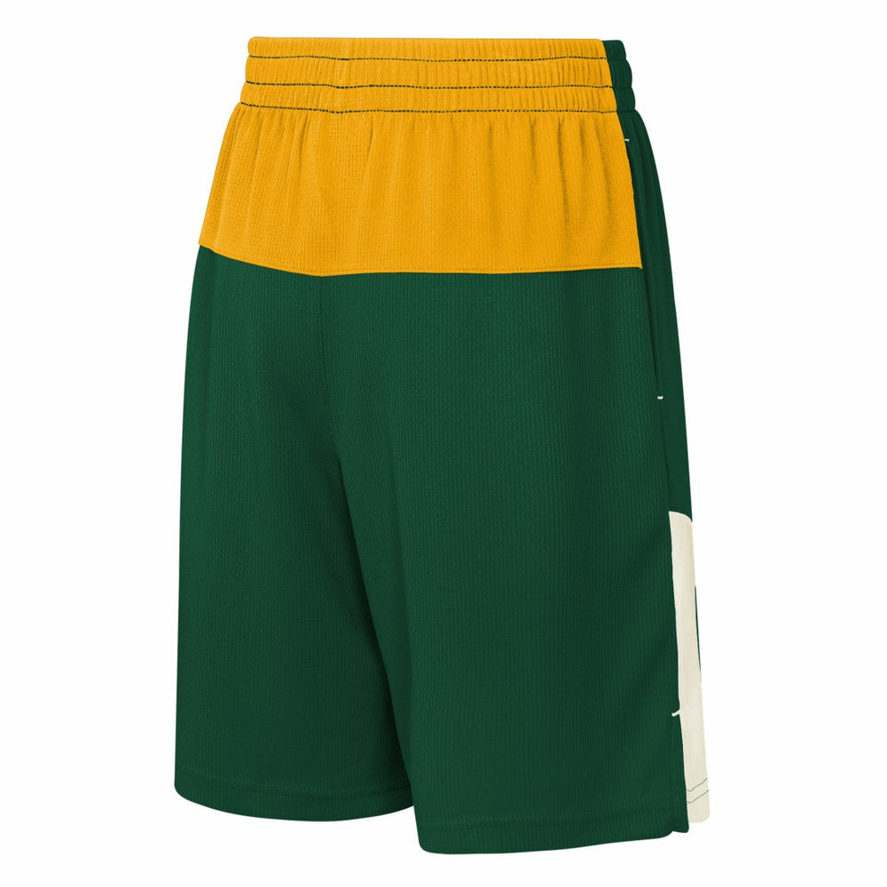 Green Bay Packers Youth Fandemonium Mesh Shorts - Green Shorts