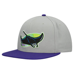 Tampa Bay Rays Mitchell & Ness Cooperstown Collection Basic Flip Snapback Hat - Gray Hats