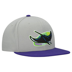 Tampa Bay Rays Mitchell & Ness Cooperstown Collection Basic Flip Snapback Hat - Gray Hats