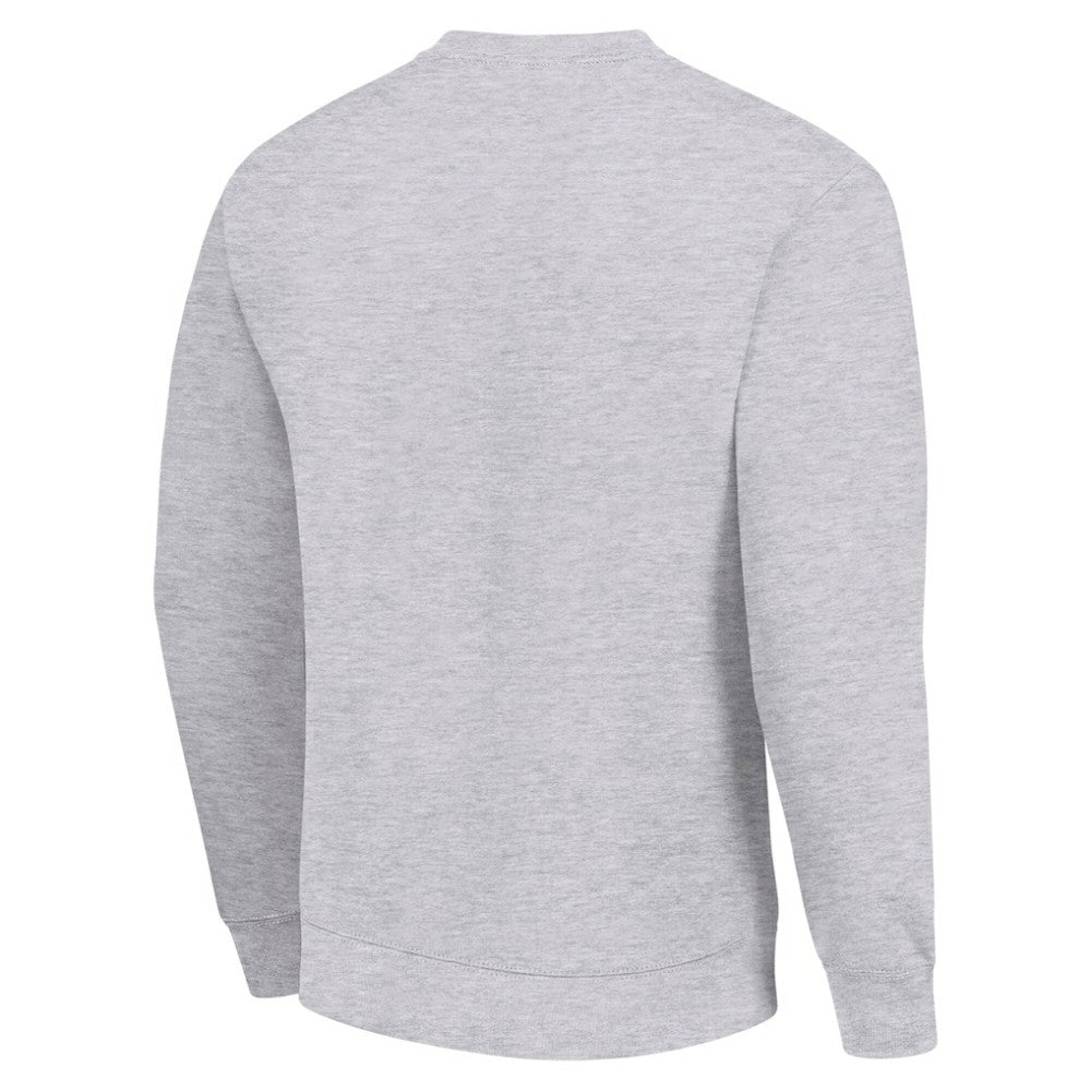 Winnipeg Jets Men's Starter Team Logo Fleece Pullover Sweatshirt - Heather Gray | US 202601621