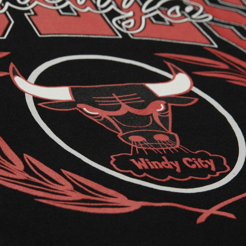 Chicago Bulls NBA x Michelob Ultra Swish & Sip Pullover Hoodie Black - Mitchell & Ness