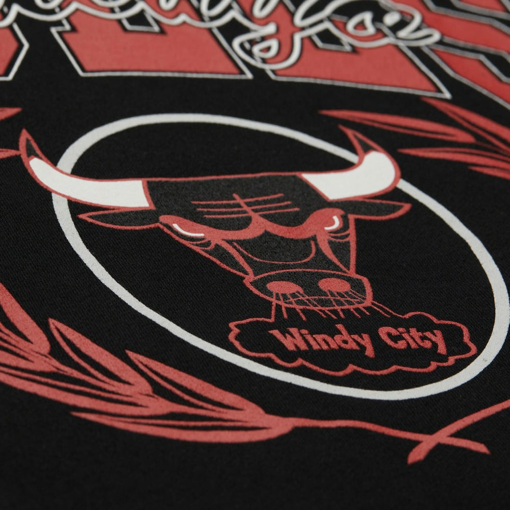 Chicago Bulls NBA x Michelob Ultra Swish & Sip Pullover Hoodie Black - Mitchell & Ness