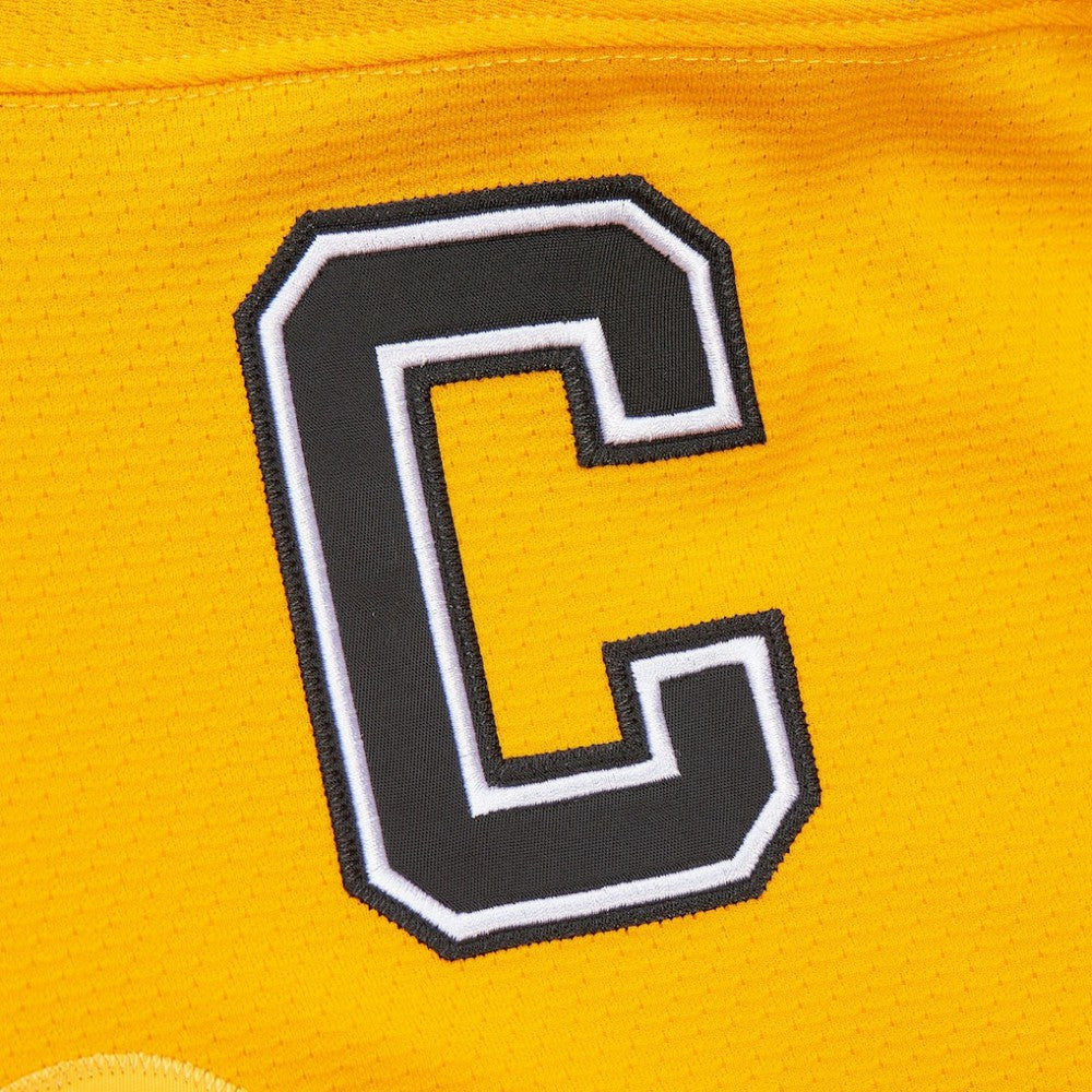 Ray Bourque Boston Bruins Mitchell & Ness 1996-97 Power Play Jersey - Gold | US 202640349