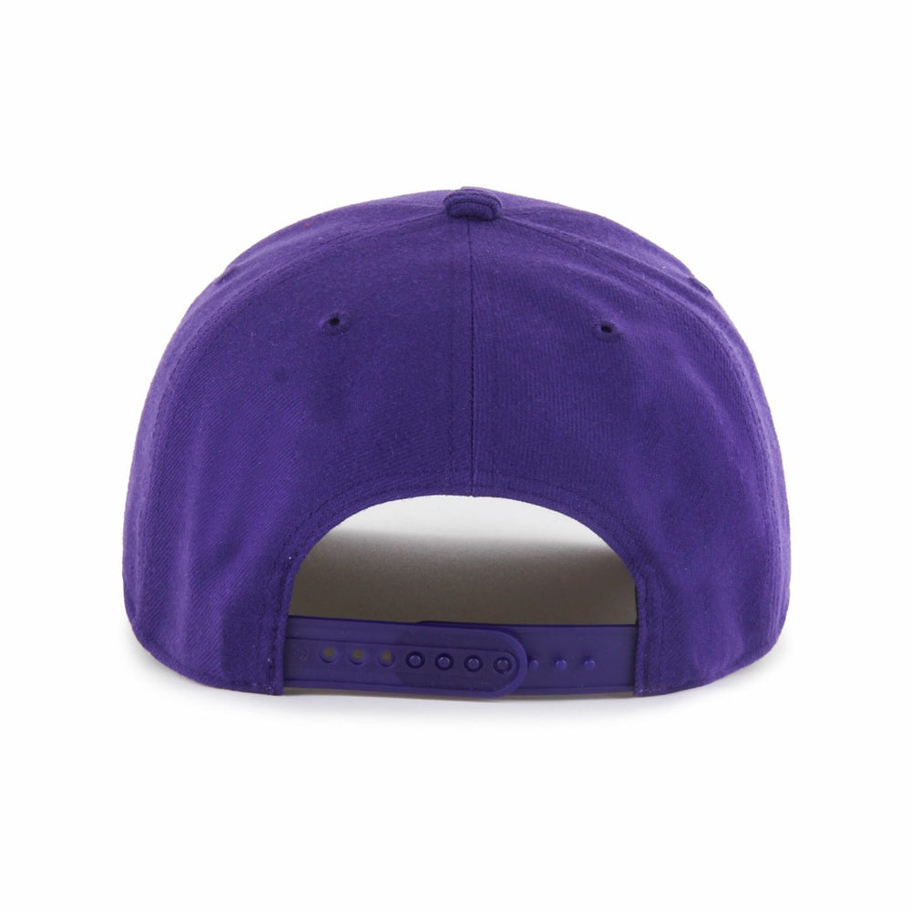 Sacramento Kings '47 Nothing But Net Hitch Adjustable Hat Purple - 47 brand