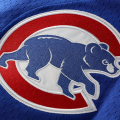 Ryne Sandberg Chicago Cubs Mitchell & Ness Cooperstown Collection 1997 Mesh Batting Practice Button-Up Jersey - Royal Jerseys