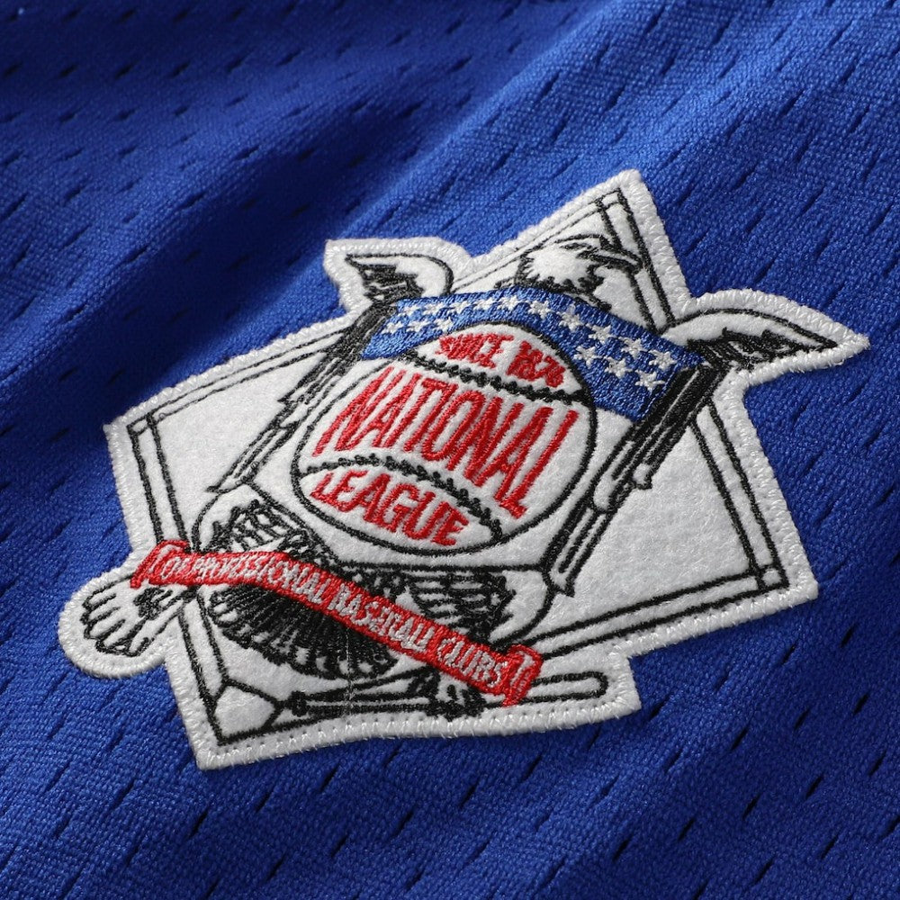 Ryne Sandberg Chicago Cubs Mitchell & Ness Cooperstown Collection 1997 Mesh Batting Practice Button-Up Jersey - Royal Jerseys