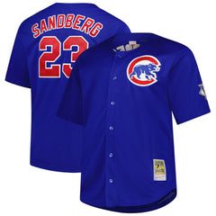 Ryne Sandberg Chicago Cubs Mitchell & Ness Big & Tall Cooperstown Mesh Batting Practice Jersey - Royal Jerseys
