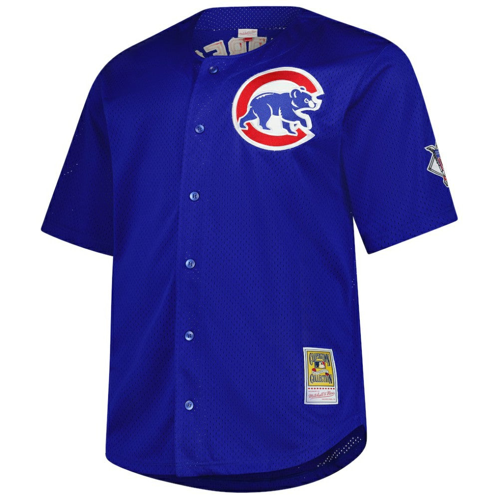 Ryne Sandberg Chicago Cubs Mitchell & Ness Big & Tall Cooperstown Mesh Batting Practice Jersey - Royal Jerseys