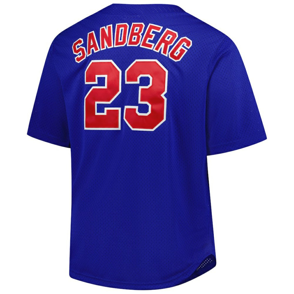 Ryne Sandberg Chicago Cubs Mitchell & Ness Big & Tall Cooperstown Mesh Batting Practice Jersey - Royal Jerseys