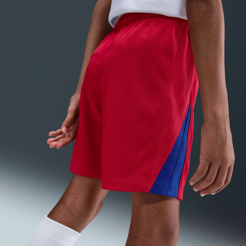 Paris Saint-Germain Youth 2025/26 Dri-FIT Stadium Shorts Red - Nike online