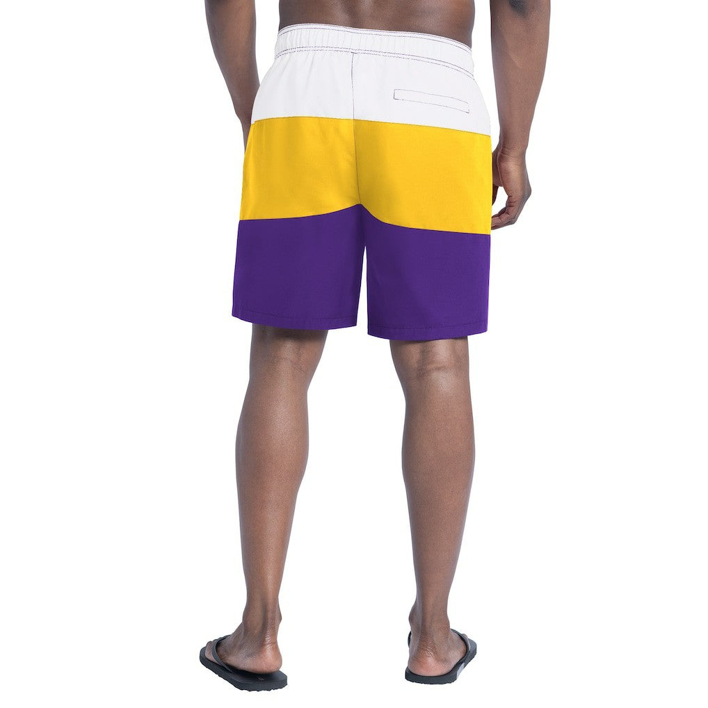 Minnesota Vikings G-III Sports by Carl Banks Sunrise Volley Swim Shorts - Purple/Gold Shorts