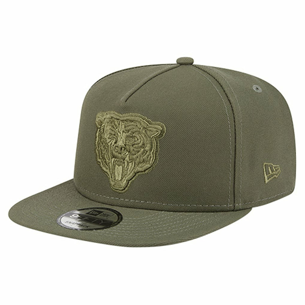 Chicago Bears New Era Youth Color Pack A-Frame 9FIFTY Snapback Hat - Olive Hats