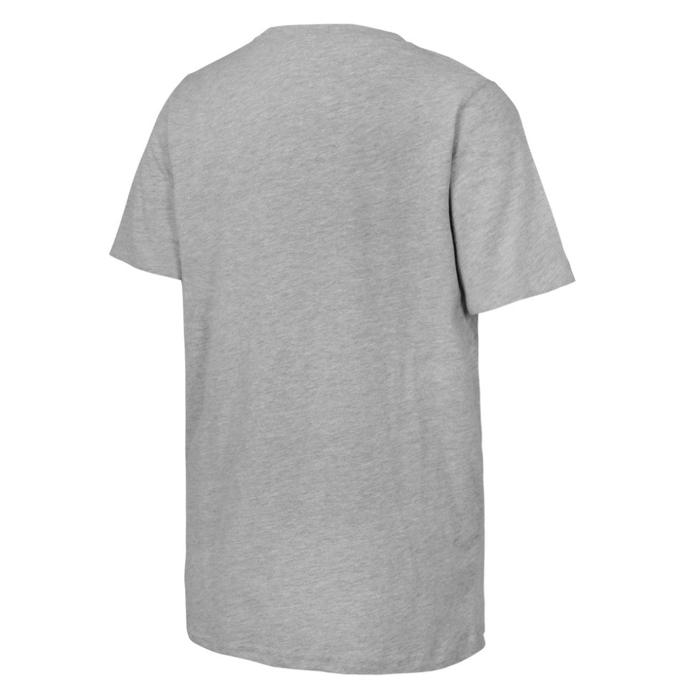 Youth 2025 NHL Stadium Series Columbus Blue Jackets vs. Detroit Red Wings Matchup T-Shirt - Heather Gray | US 202765272