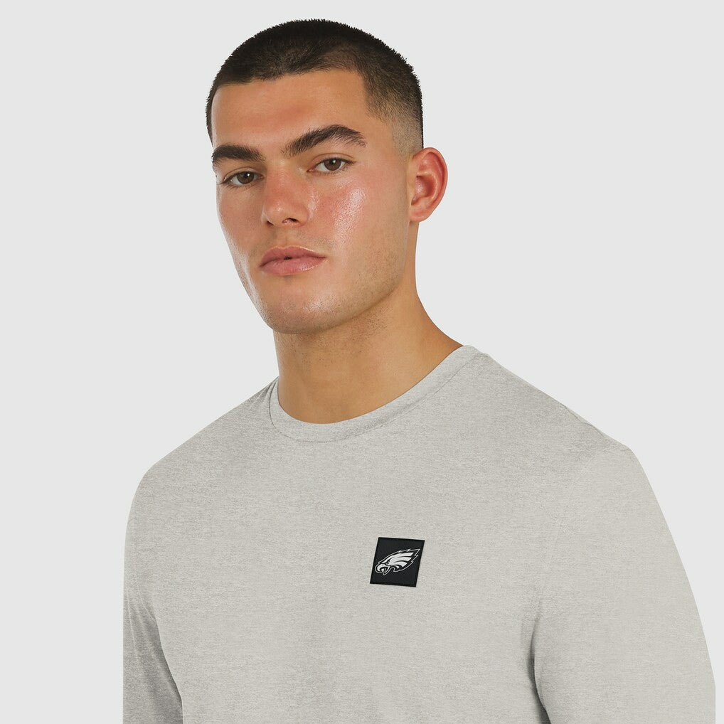 Philadelphia Eagles J. Palmer Four Down Long Sleeve T-Shirt - Gray T-shirts