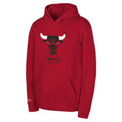 Chicago Bulls Preschool Retro Logo Pullover Hoodie Red - Mitchell & Ness