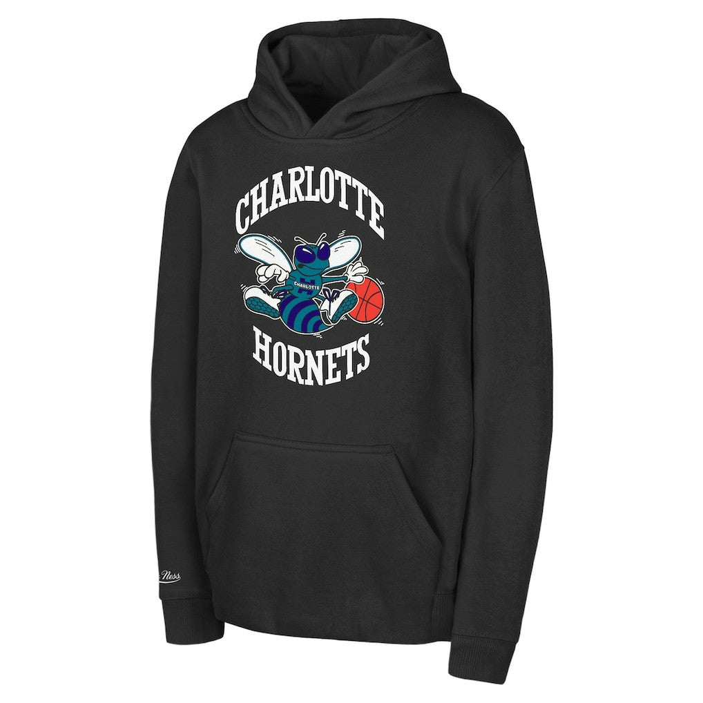 Charlotte Hornets Preschool Retro Logo Pullover Hoodie Black - Mitchell & Ness