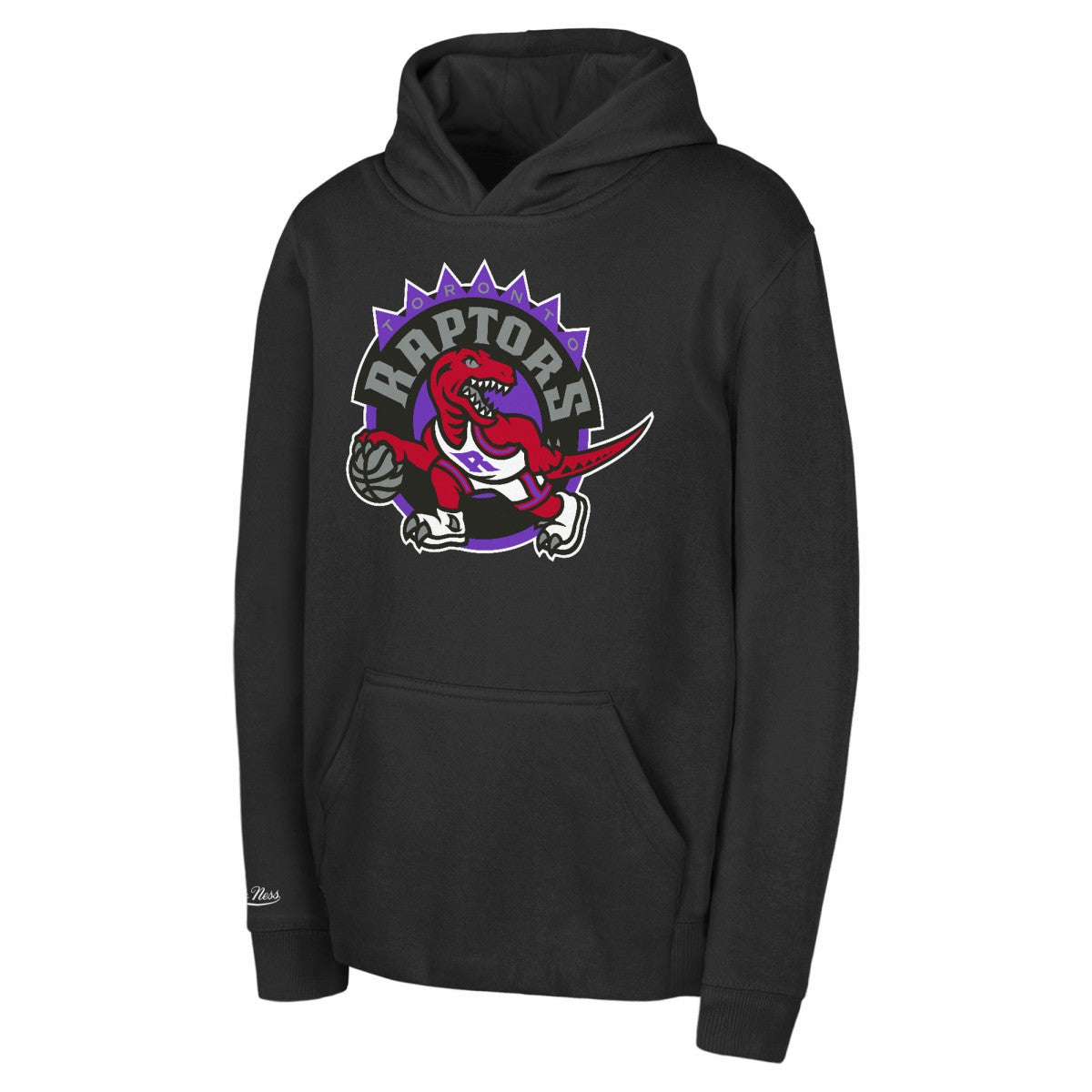 Toronto Raptors Preschool Retro Logo Pullover Hoodie Black - Mitchell & Ness outlet
