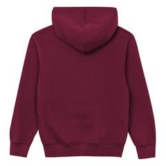 Washington Commanders Outerstuff Preschool Back to Basics Hoodie - Burgundy Hoodies