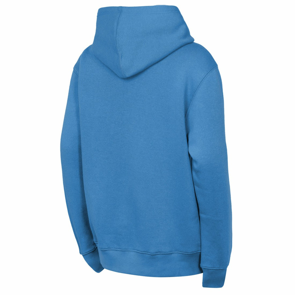 Tennessee Titans Outerstuff Youth Back to Basics Hoodie - Light Blue Hoodies