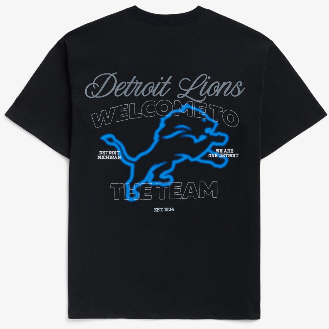 Detroit Lions Off Season x NFL Unisex Graphic T-Shirt - Black T-shirts