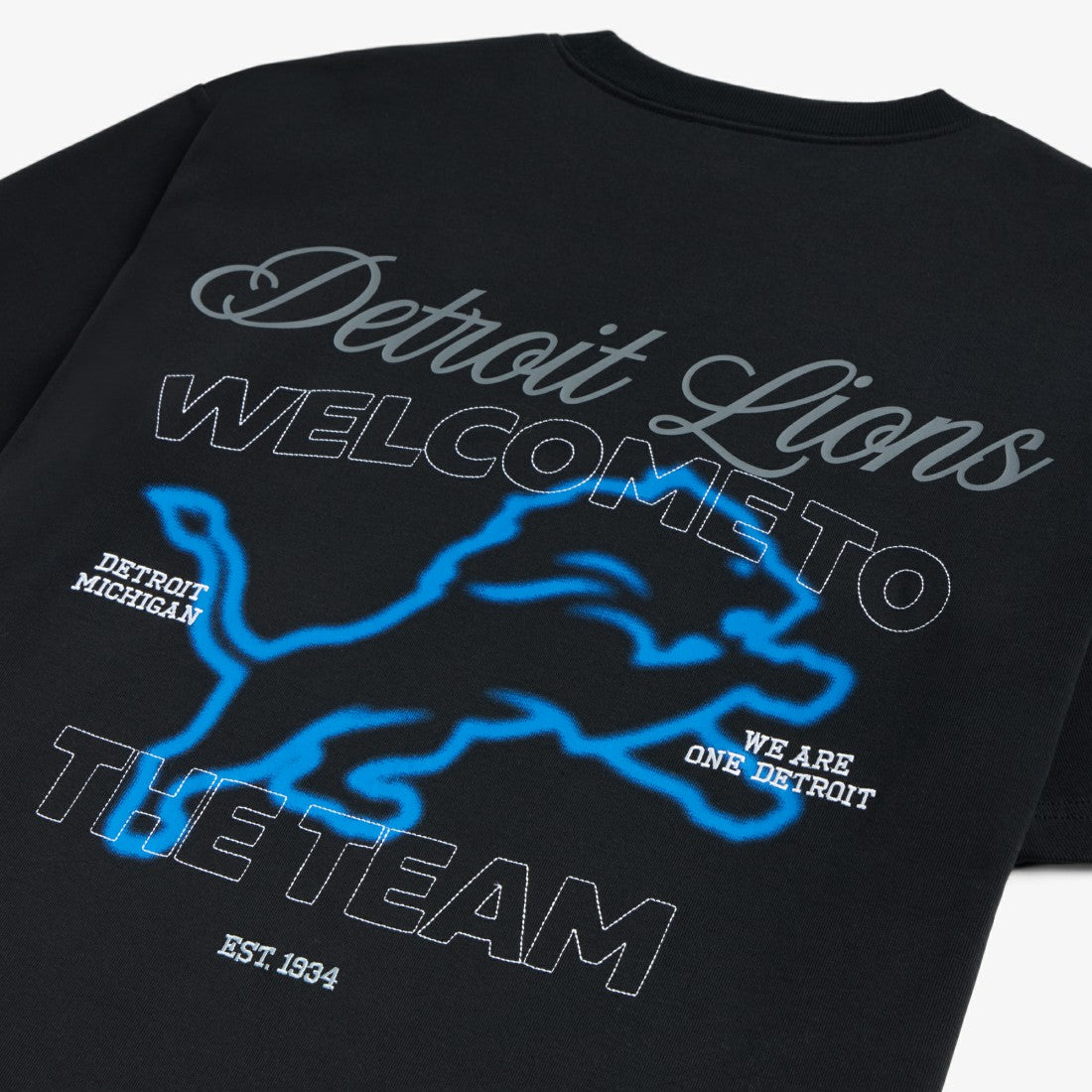 Detroit Lions Off Season x NFL Unisex Graphic T-Shirt - Black T-shirts