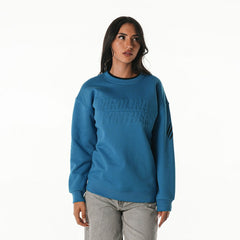 Carolina Panthers The Wild Collective Unisex Fleece Sweatshirt - Blue Sweatshirts