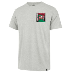 Tampa Bay Buccaneers '47 Chrome Plate Franklin T-Shirt - Gray T-shirts