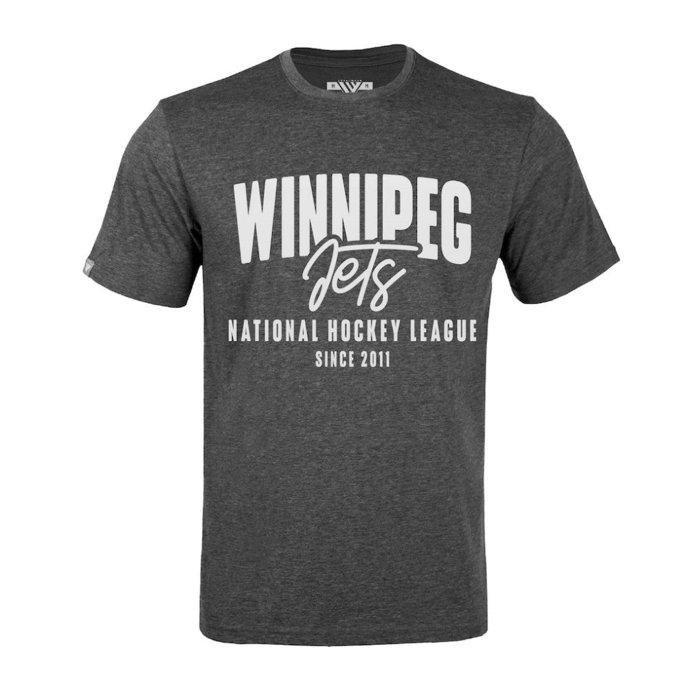 Winnipeg Jets Levelwear Richmond Response T-Shirt - Gray | US 203091993