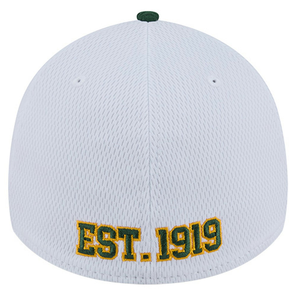 Green Bay Packers New Era Dashmark Rays 39THIRTY Flex Hat - White/Green Hats