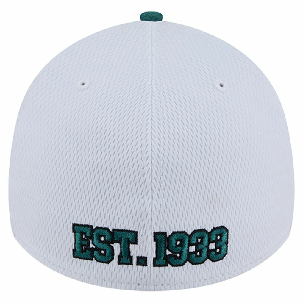 Philadelphia Eagles New Era Dashmark Rays 39THIRTY Flex Hat - White/Midnight Green Hats