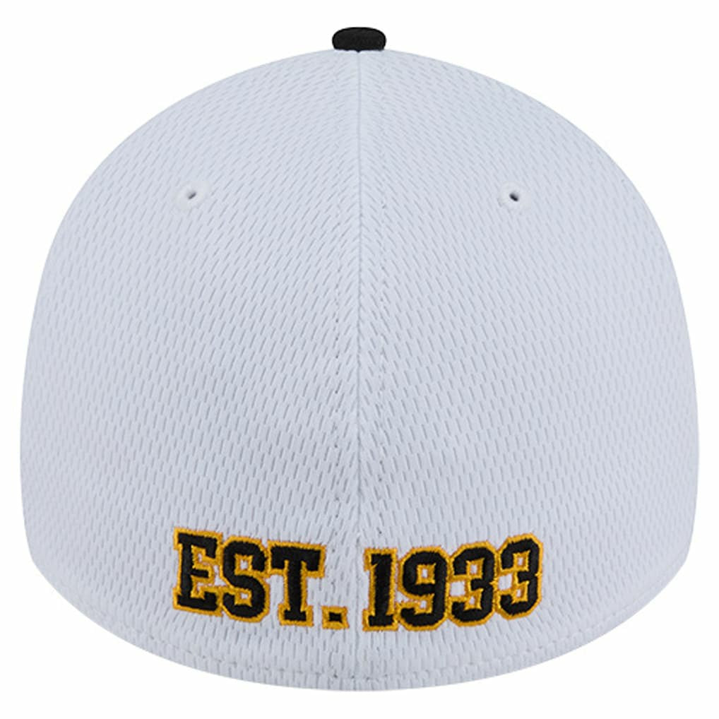 Pittsburgh Steelers New Era Dashmark Rays 39THIRTY Flex Hat - White/Black Hats