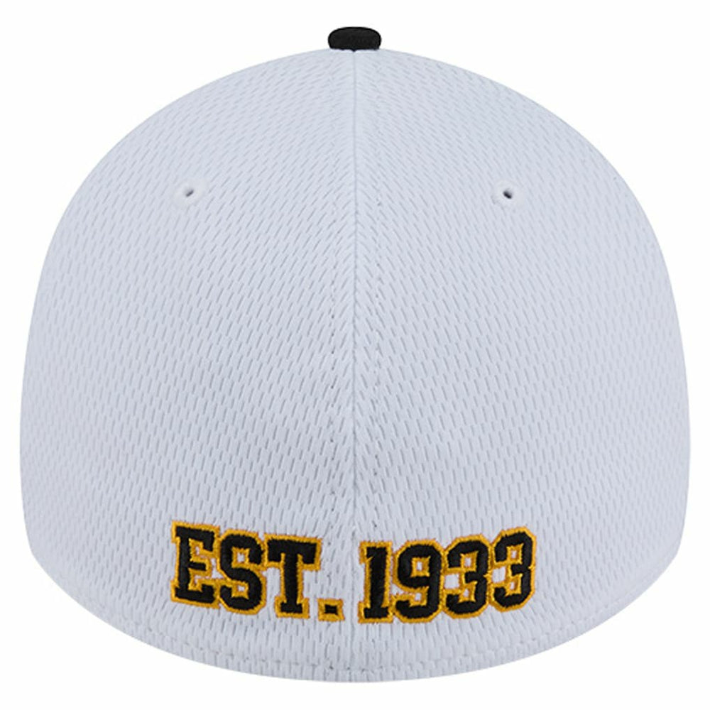 Pittsburgh Steelers New Era Dashmark Rays 39THIRTY Flex Hat - White/Black Hats