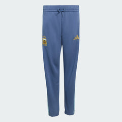 Argentina National Team Youth FIFA x World Cup Alphaskin Pants Blue - Adidas online