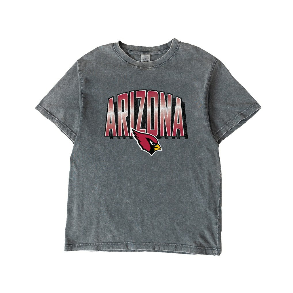 Arizona Cardinals Gameday Couture Women's Peak Performance Oversized Snow Wash T-Shirt - Gray T-shirts