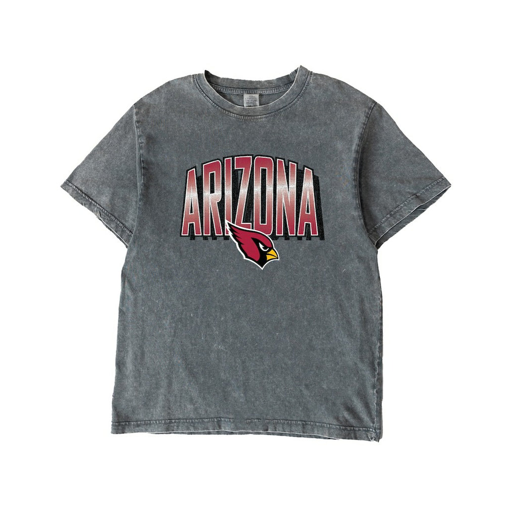 Arizona Cardinals Gameday Couture Women's Peak Performance Oversized Snow Wash T-Shirt - Gray T-shirts