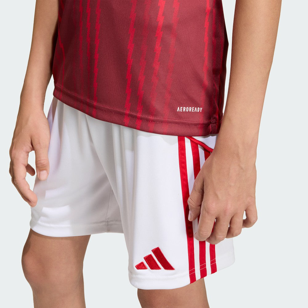 Arsenal Youth 2025/26 Pre-Match Training Jersey Red - Adidas