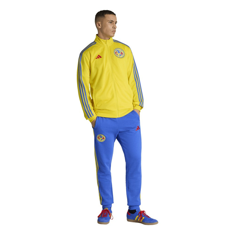 Club America 2025/26 DNA Alphaskin Full-Zip Track Jacket Yellow - Adidas online