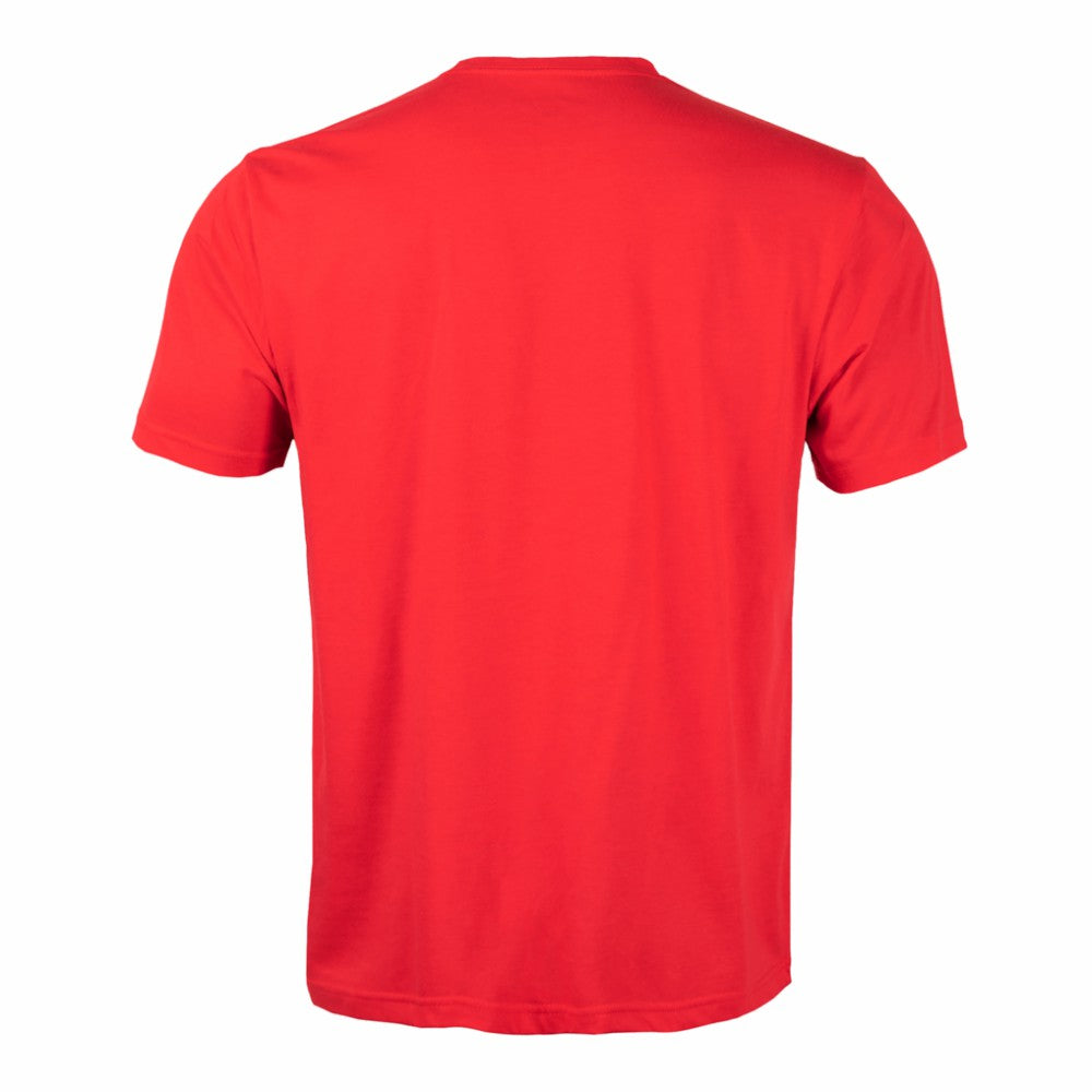 Detroit Red Wings Levelwear Richmond Banner Arch T-Shirt - Red | US 203145328