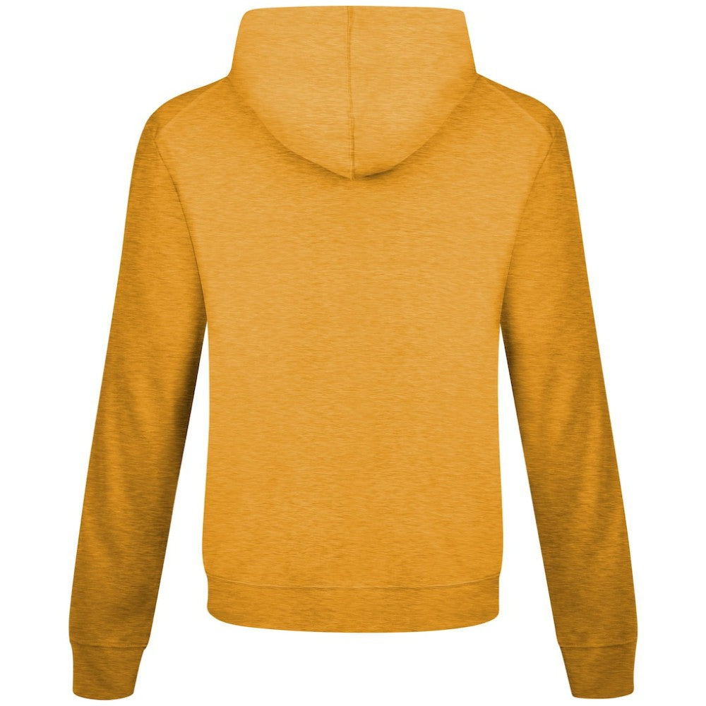 Pittsburgh Penguins Levelwear Relay Banner Arch Pullover Hoodie - Gold | US 203145447