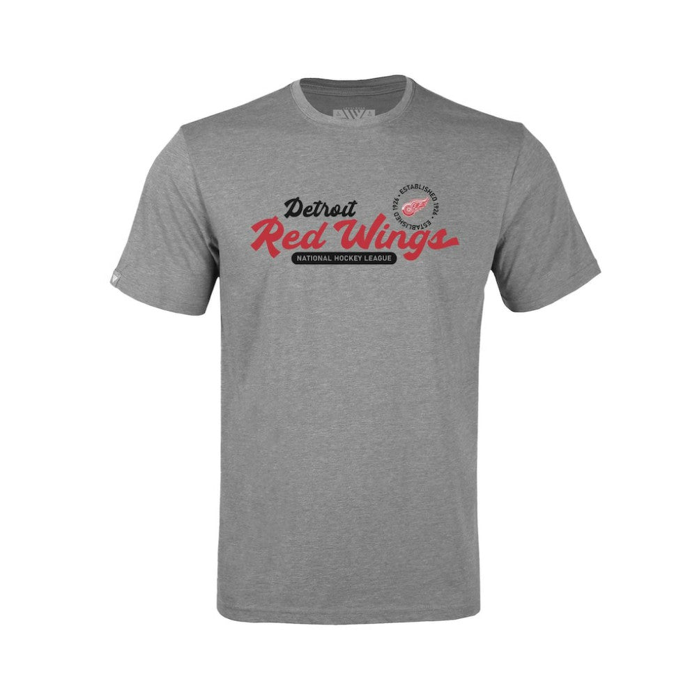 Detroit Red Wings Levelwear Youth Little Richmond Monument T-Shirt - Gray | US 203145531