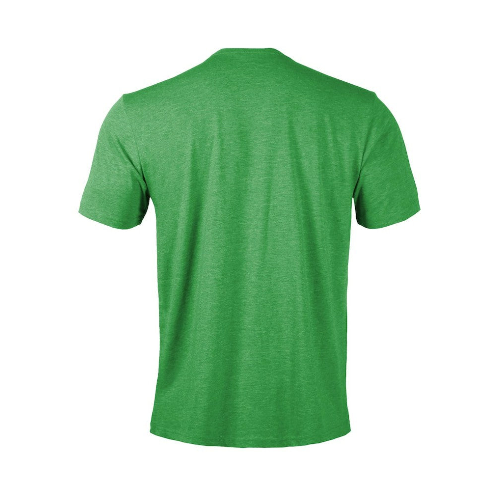Dallas Stars Levelwear Youth Little Richmond Banner Arch T-Shirt - Green | US 203145560