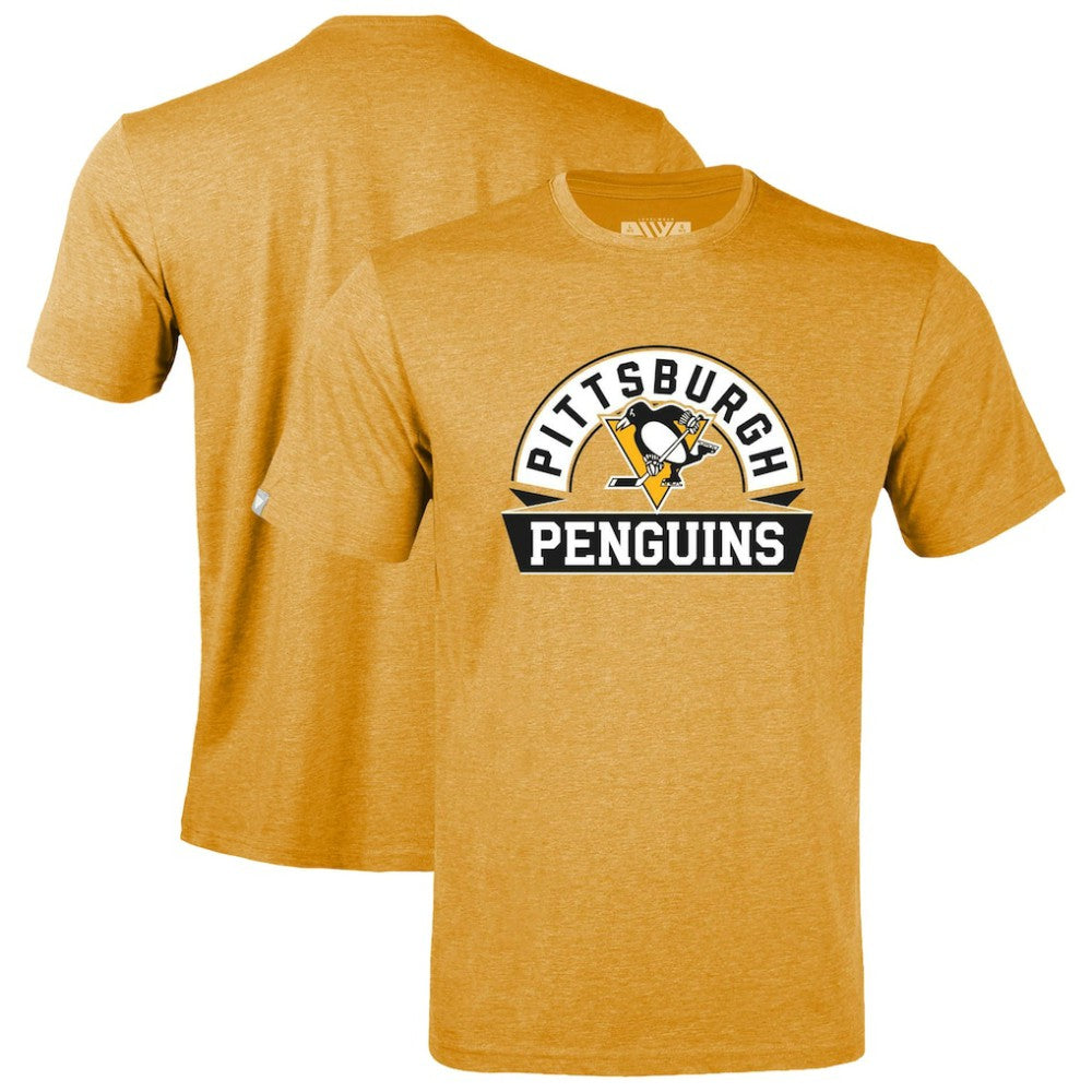 Pittsburgh Penguins Levelwear Youth Little Richmond Banner Arch T-Shirt - Gold | US 203145592