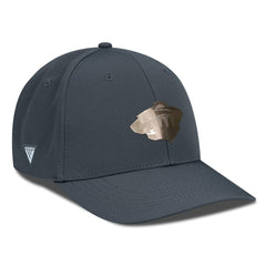 Minnesota Wild Levelwear Rise Copper Insignia Flex Hat - Charcoal | US 203155815