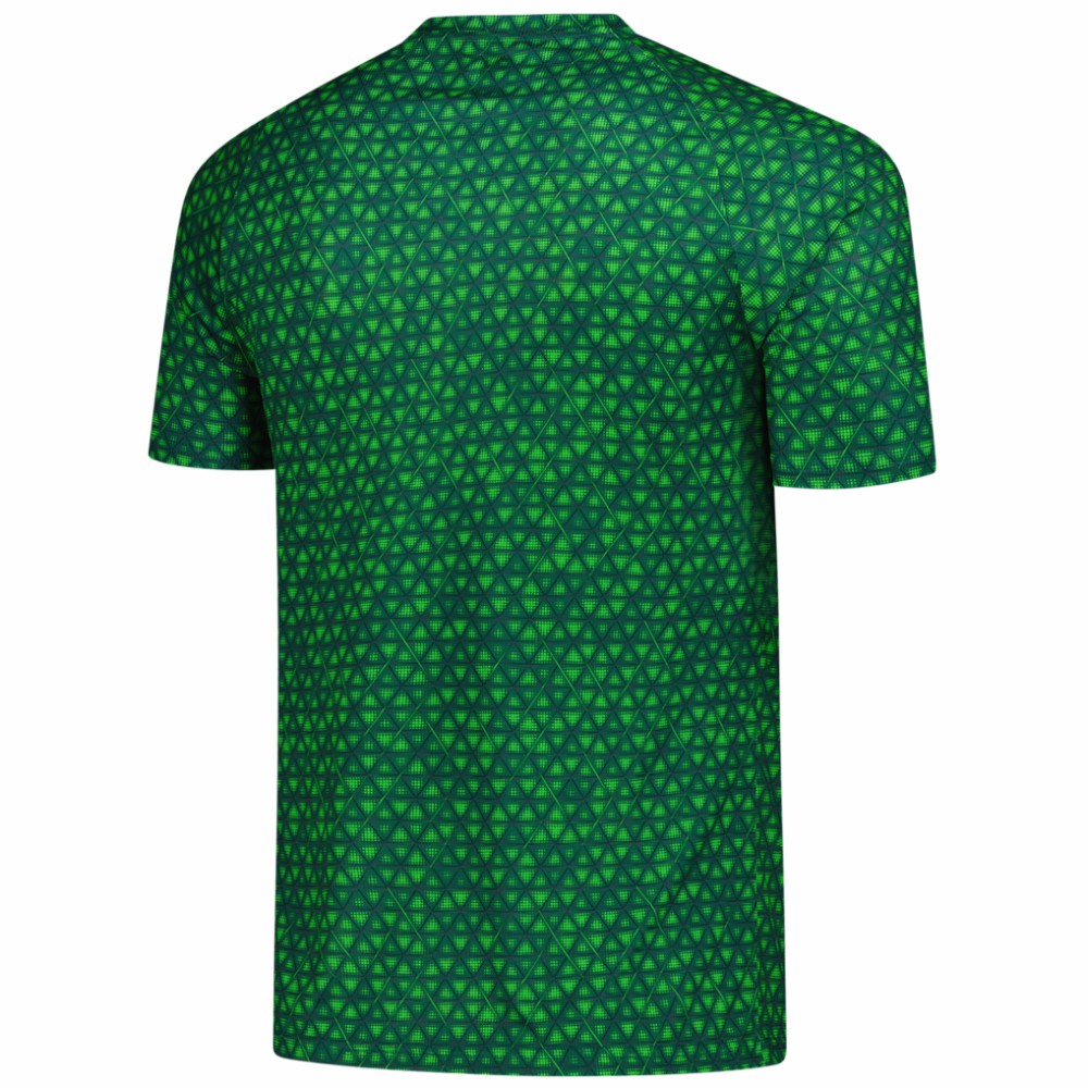 Manchester City 2025/26 Pre-Match Training Jersey Green - Puma sale