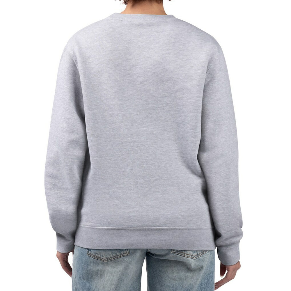 Las Vegas Raiders G-III 4Her by Carl Banks Women's Distressed Graphics Fleece Pullover Sweatshirt - Gray Pullover